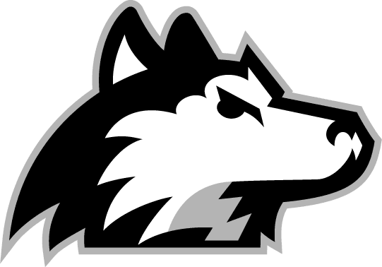 Northern Illinois Huskies 2001-Pres Alternate Logo v7 diy fabric transfer